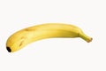 Yellow banana on a white background isolate the view from the side Royalty Free Stock Photo