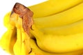 Yellow bananas Royalty Free Stock Photo