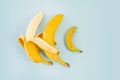 yellow bananas have sex on blue background. tenderness. sign, symbol, concept idea of embracing couple in love