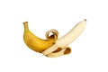 Yellow Bananas peeled skin drop isolated. Royalty Free Stock Photo