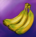 Yellow bananas on violet background