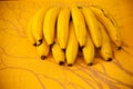 Yellow bannana bunch