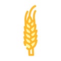 yellow barley plant color icon vector illustration