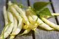 Yellow beans with leaves Royalty Free Stock Photo