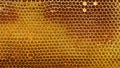 Yellow beautiful honeycomb with honey, background. Top view. Free space for your text Royalty Free Stock Photo