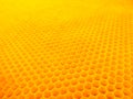 Yellow bee cells with honey, healthy food. background