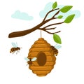 Yellow bee hive on a white background. Bee hive isolate. Stock Vector illustration of bee house with a circular entrance