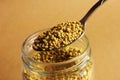 Yellow Bee Pollen Royalty Free Stock Photo