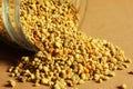 Yellow Bee Pollen Royalty Free Stock Photo