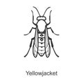 Yellow bee vector icon.Line vector icon isolated on white background yellow bee.