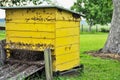 Yellow beehive is besieged by bees