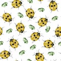 Yellow beetle with black spots and clover leaf watercolor seamless pattern
