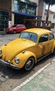 The yellow beetle