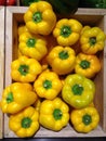 Yellow bell pepper