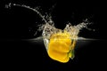 Yellow bell pepper falling in water with splash on black background Royalty Free Stock Photo