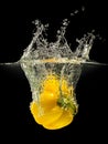 Yellow bell pepper falling in water with splash on black background Royalty Free Stock Photo