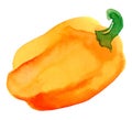 Yellow bell pepper. Hand drawn watercolor painting on white background, vector illustration. Royalty Free Stock Photo