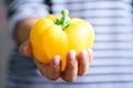 Yellow bell pepper holding by hand Royalty Free Stock Photo