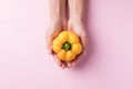 Yellow bell pepper holding by hand on pink background Royalty Free Stock Photo