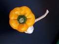 Yellow bell pepper to make the most delicious food