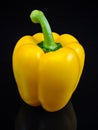 Yellow Bell Pepper Vegetable on Black Background