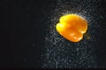 Yellow bell pepper in water splash on black background Royalty Free Stock Photo