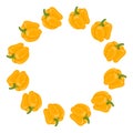 Yellow Bell Pepper Wreath. Fresh Vegetables isolated on white background. Circle Frame from Pepper for Market, Recipe Design.