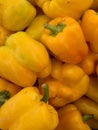 Yellow bell peppers Royalty Free Stock Photo