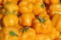 Yellow bell peppers Royalty Free Stock Photo