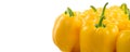 Yellow bell peppers isolated on white background, vegan, vegetable border. Fresh sweet organic bell pepper close up Royalty Free Stock Photo