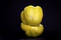 Yellow bellpepper or capsicum isolated on black background Royalty Free Stock Photo