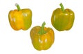 Yellow bells pepper isolated