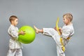 With a yellow belt, an athlete beats a kick on a green ball on a gray background Royalty Free Stock Photo