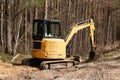 Yellow belt excavator in a pine forest. Hydraulic earthmoving harvester. Rotating operator's cab. Construction industry. Royalty Free Stock Photo