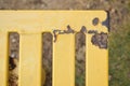 Rusty yellow bench in a park Royalty Free Stock Photo