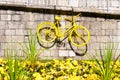 Yellow bicycle exposed on the York city walls as a symbol of Tour de France Royalty Free Stock Photo