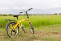 Yellow bicycle in green filed. Royalty Free Stock Photo