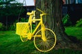 Yellow bicycle parked under the tree.