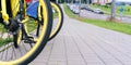 Yellow bicycle rubber wheels stand on grey paved street
