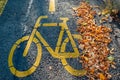 Yellow bicycle sign and autumn leafs Royalty Free Stock Photo