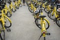 Yellow bicycle for travelers people rent biking tour around Bang Mod festival