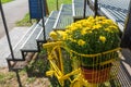 Yellow bike - decoration of the entrance