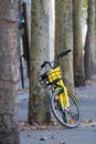 Yellow bike for hire leaning against tree