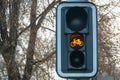 Yellow bike sign on a traffic light for bicycle close-up Royalty Free Stock Photo