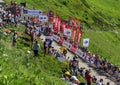 The Yellow Bike - Tour de France 2016