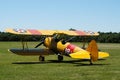 Yellow Biplane II