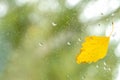 yellow birch leaf on the window with raindrops Royalty Free Stock Photo