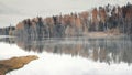 Yellow birch trees in the forest shore are reflected in the morning misty lake in  autumn Royalty Free Stock Photo