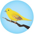 Yellow Bird