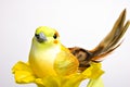 Yellow Bird 6015